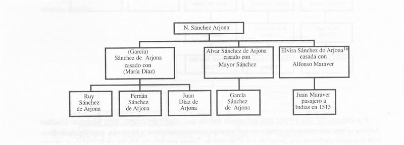 Archivo:Arbol4.jpeg